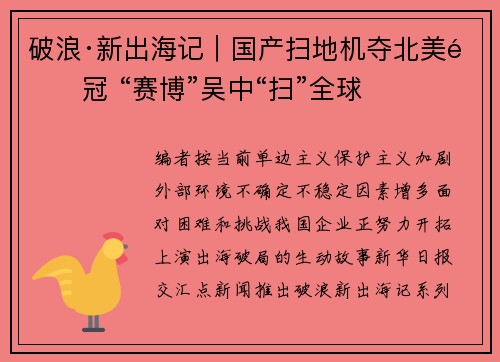 破浪·新出海记｜国产扫地机夺北美销冠 “赛博”吴中“扫”全球